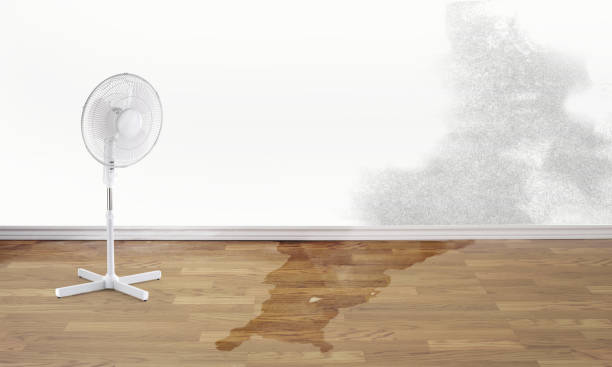Best Water damage restoration services  in Eatonton, GA