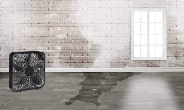 Best 24-hour water damage restoration  in Eatonton, GA