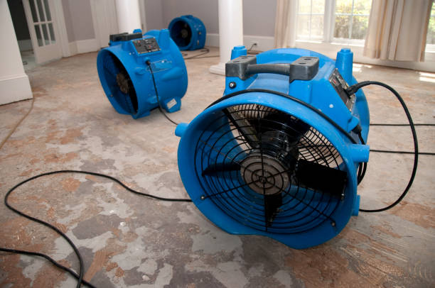 Best Local water damage restoration  in Eatonton, GA