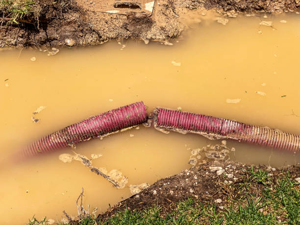Best Sewage cleanup and water damage restoration  in Eatonton, GA